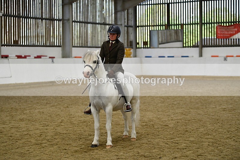 WJ5_6248 - Class 9 Ridden Veteran