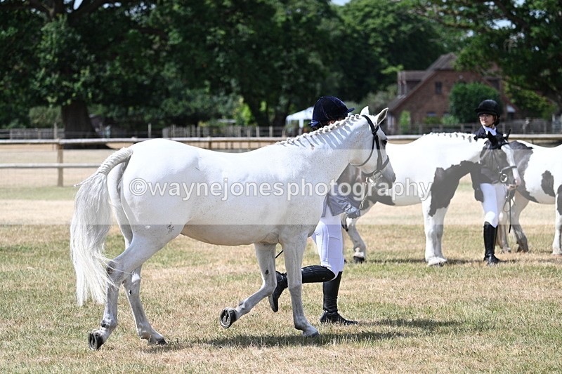 WJ7_1610 - Class 4 Prettiest Mare up to 14.2hh in hand