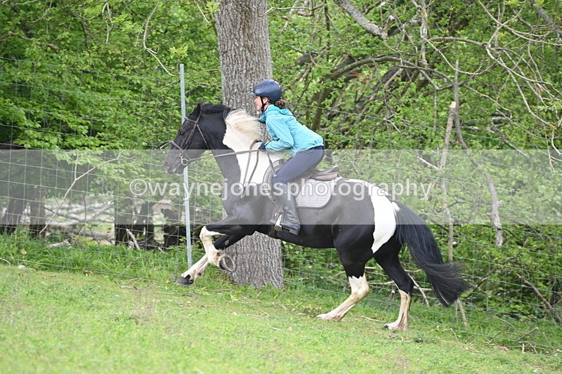 WJ6_3077 - A Camera