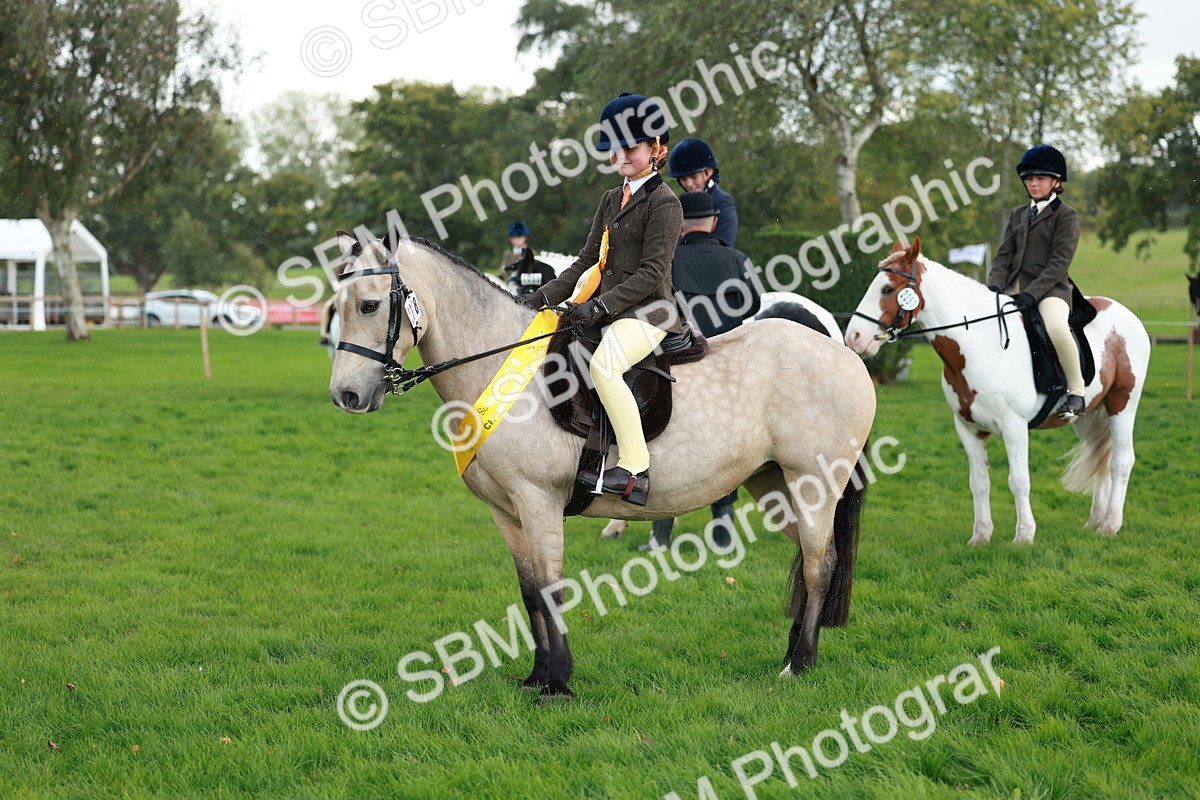 SBM_28861 - S7 - Novice & Newcomer Ridden Pony