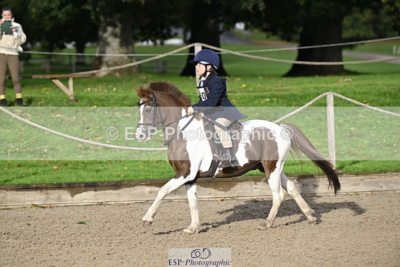 251005A-091549-03019 - Cls 02 GR 50cm