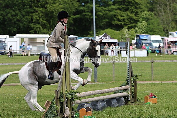 IMG_3245 - Working Hunter