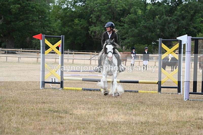 WJ6_9659 - Class 12 Minimus Jumping 45cm