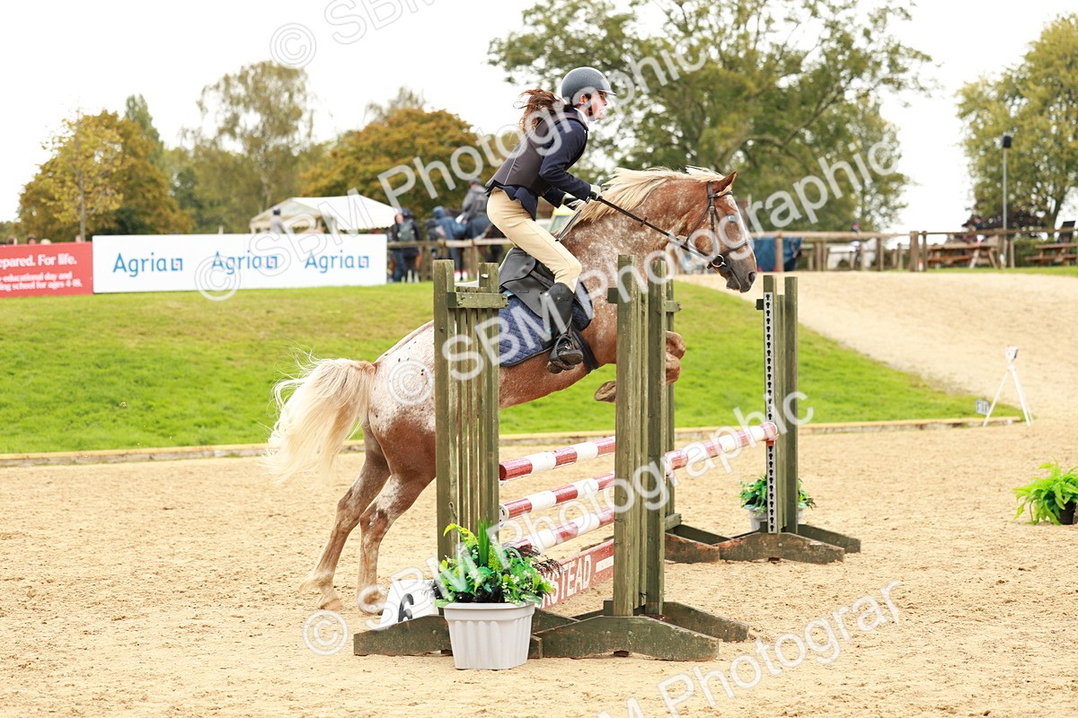 SBM_38439 - Supreme Championship 80cm 85cm