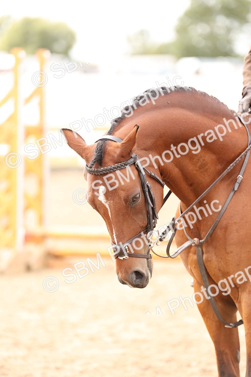 SBM_05149 - Class 56a -  Style & Performance - 50cm (15-19)