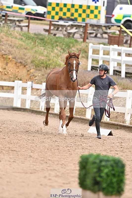 250716-162300-02603 - Trot Up 3.30 to 4.30