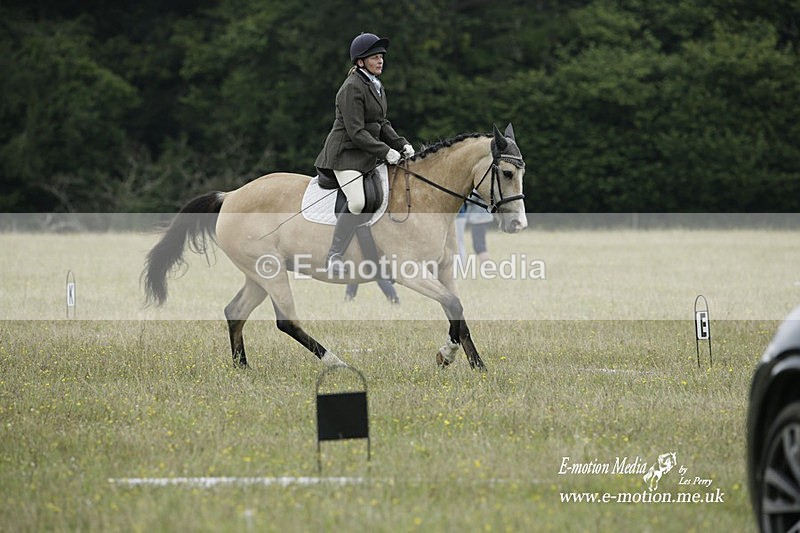 BVRC 030721 485 - Bourne Valley Riding Club Dressage 03/07/21