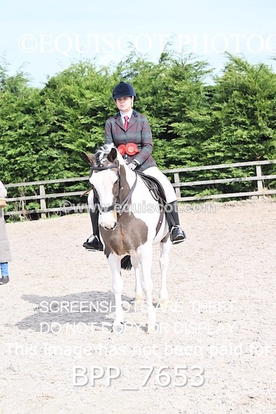 BPP_7653 - RING 1  (RIDDEN HORSES / IN HAND / VETERAN ETC)