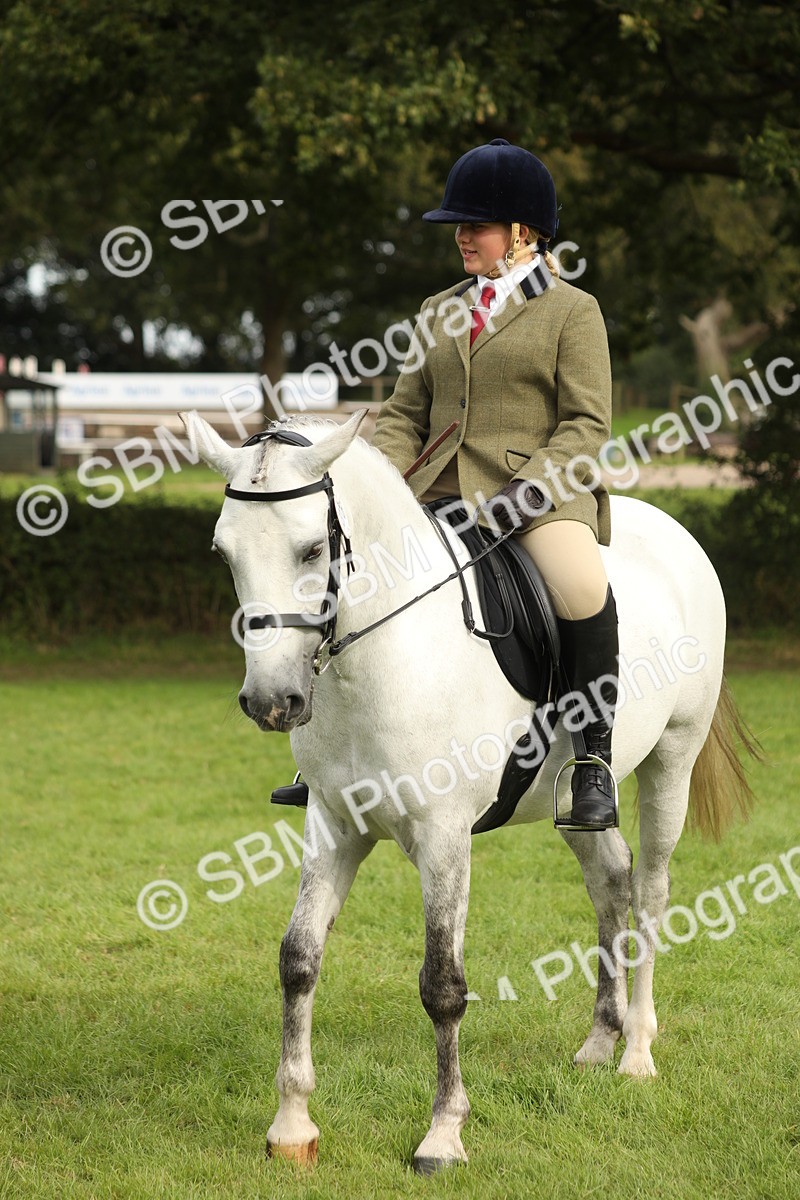 SBM_71524 - S41 - Ridden Equitation (Best Rider)