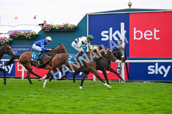 250725-Race 6-Luna A Inbhir Nis-6133 - Race 6 8.23pm Sky Bet Go-Racing-In-Yorkshire Summer Festival Handicap