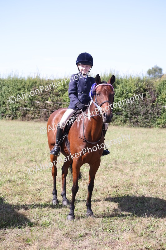 20260906-2312 - Class 16 - Family Pony