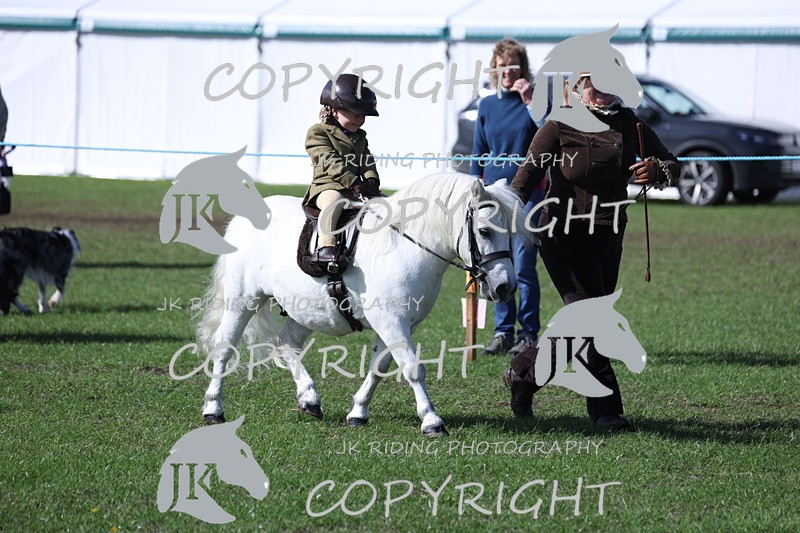 APP_3856 - Class 13 Lead rein