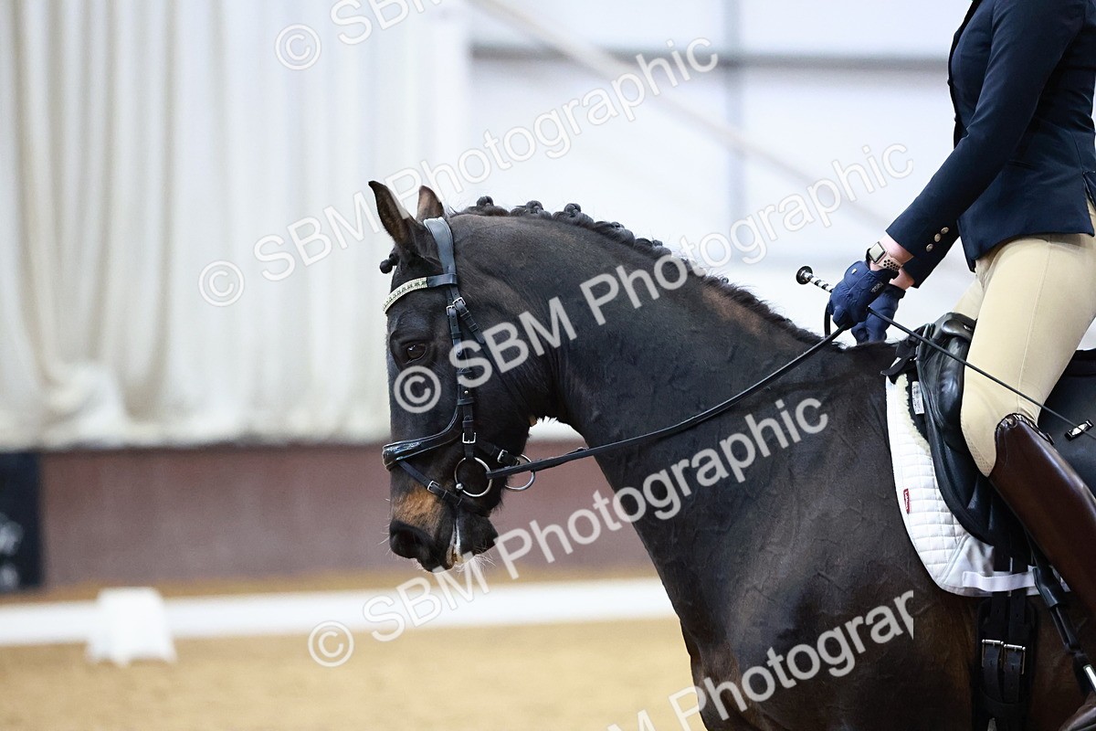 SBM_002238 - Class 4 - Novice 5