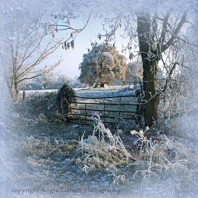  - Winter Season & Yule