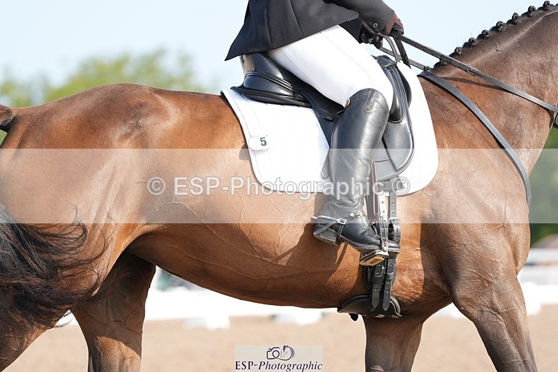 250815-090954-00035 - 005-Patricia.HaskinsGaelic.Surprise