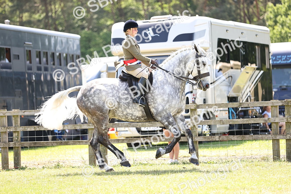 SBM_16239 - Class 79-80 - LIHS BSHA Rising Star Ridden Hunter