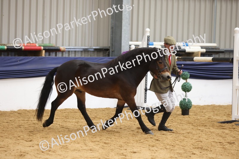 20260913-1673 - Pony of the Year Championship