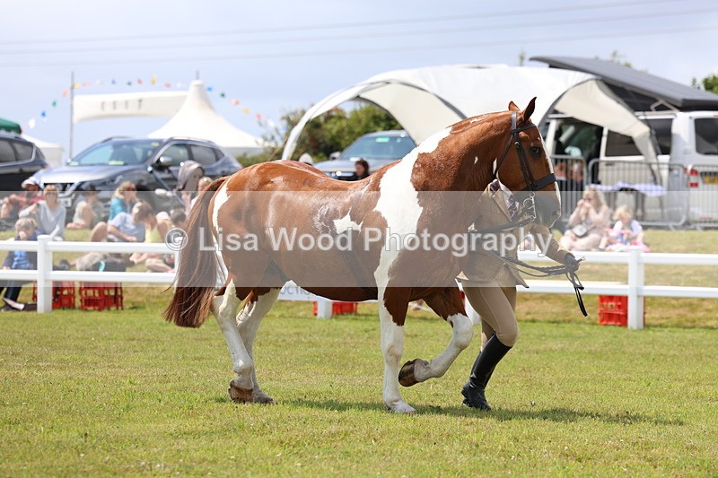 3E7A2124 - Class 10: Open Cob