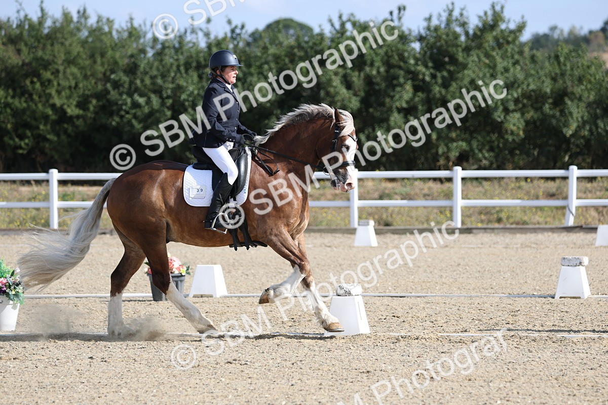 SBM_020261 - Class 21 - M5 Bronze 9.30.10.34