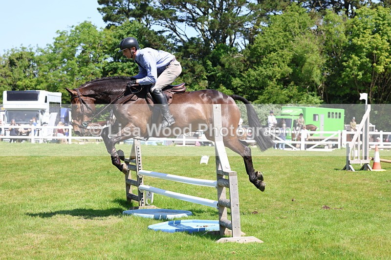 3E7A7035 - Class 30: Novice Working Hunter