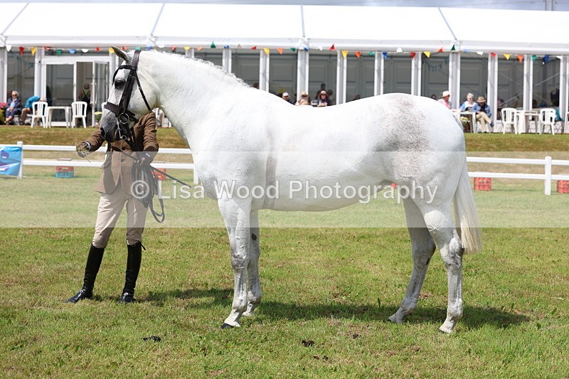 3E7A1617 - Class 9: Open Hunter