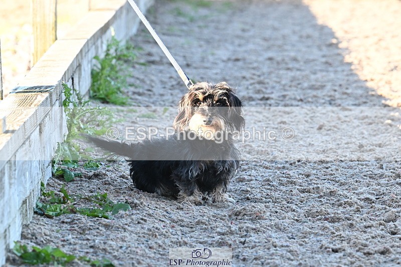 240912A-180240-02642 - Cls 7 Snr 90cm Open Speed Derby