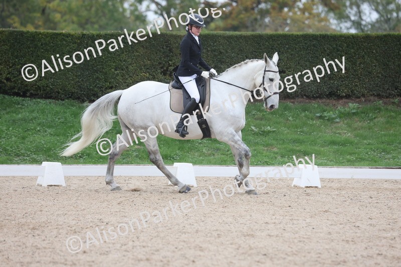 20251011-0427 - Class 4 - Novice 2