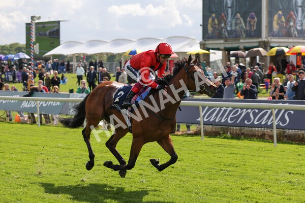 yr11052022r4-29 - Race 4 3.35pm Tattersalls Musidora Stakes