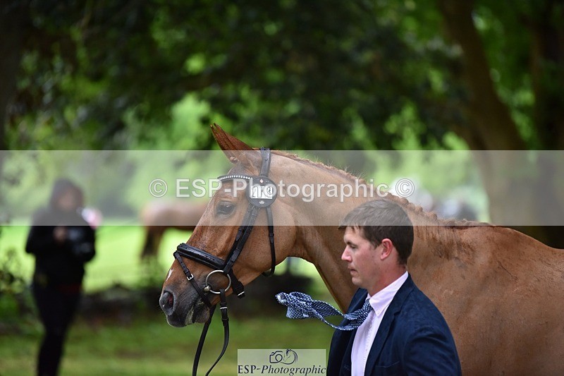240522-162738-00930 - 273-LUSUELA-Will_Furlong