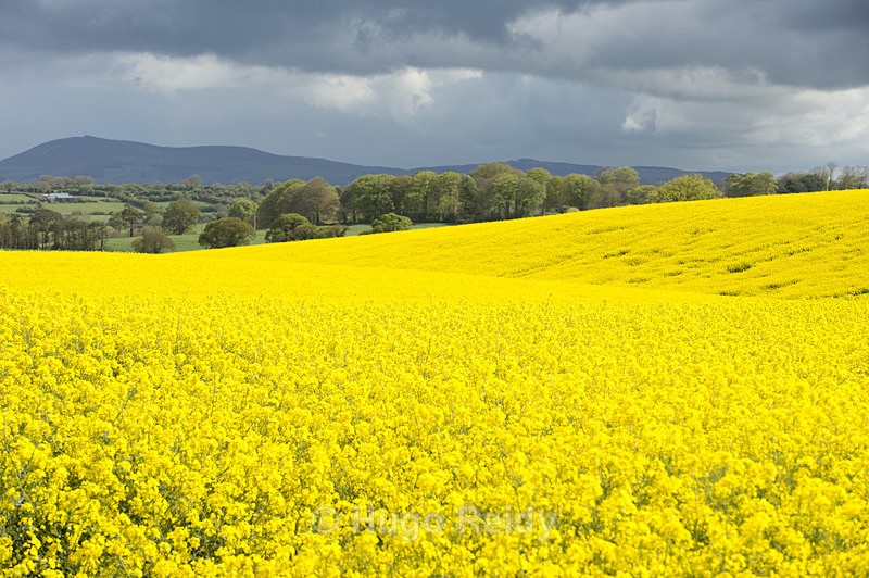  - Some Selected Images