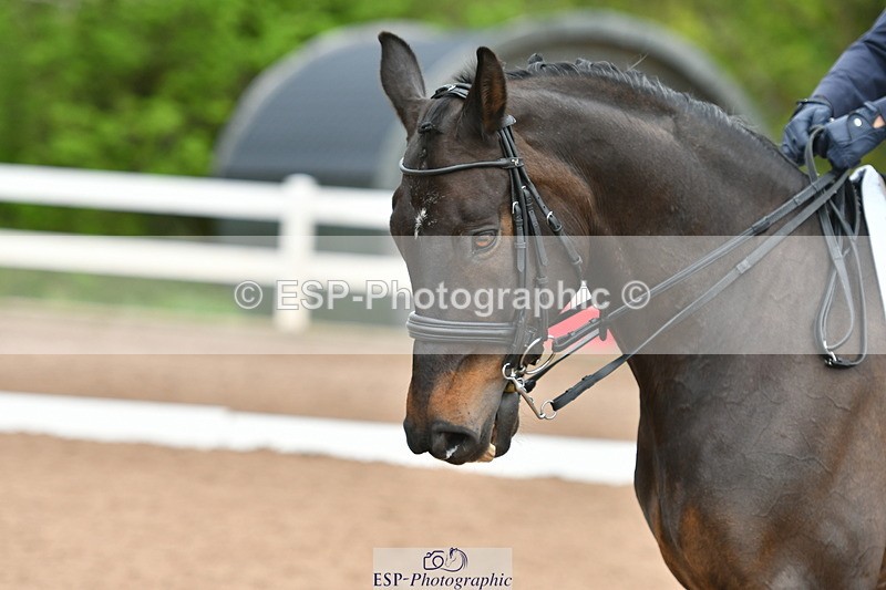 230511A-155147-01254 - BD Cls 16+17 Advanced 102 & 105