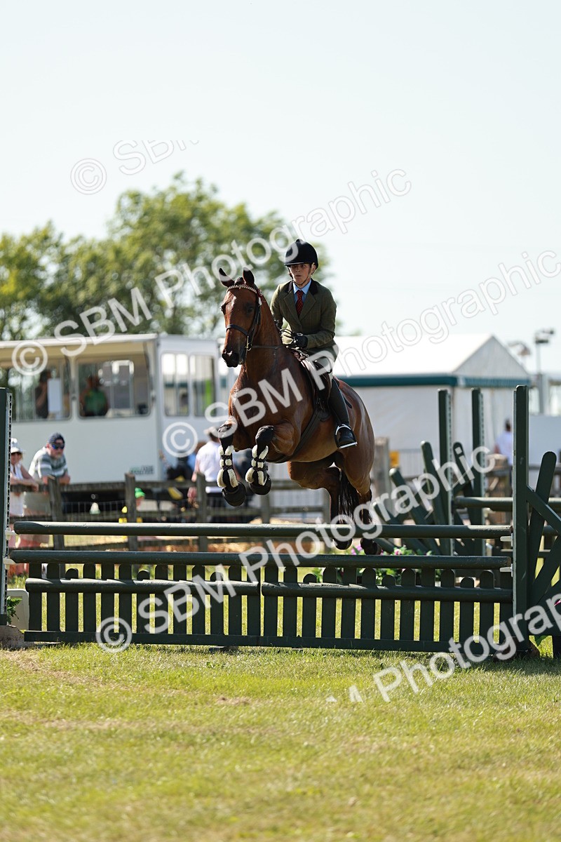 SBM_18832 - Class 114 - RIHS & SEIB Open Working Show Horse