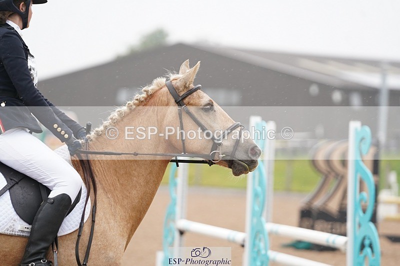 240901A-150810-10264 - 524-Kate.Hicks-SWALLOWCROFT.STARDUST