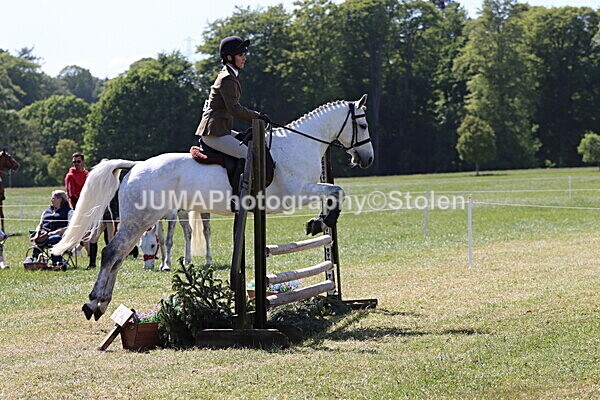 IMG_4489 - Working Hunter