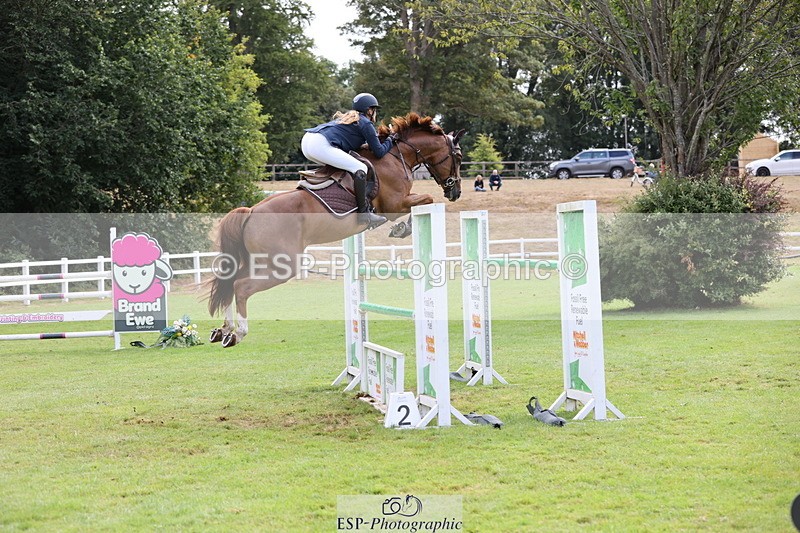 250830A-102659-04850 - Cls 14 HOYS Grade C Quali