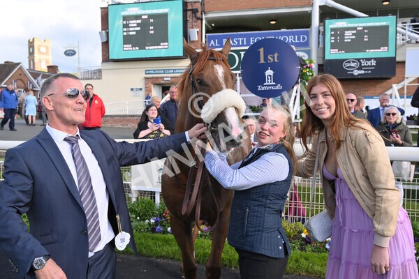yr11052022r7-40 - Race 7 5.15pm British Stallion Studs EBF Novice Stakes