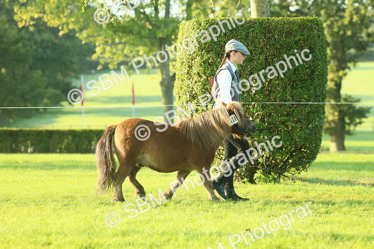 SBM_57279 - S37 - Starters In Hand Showing