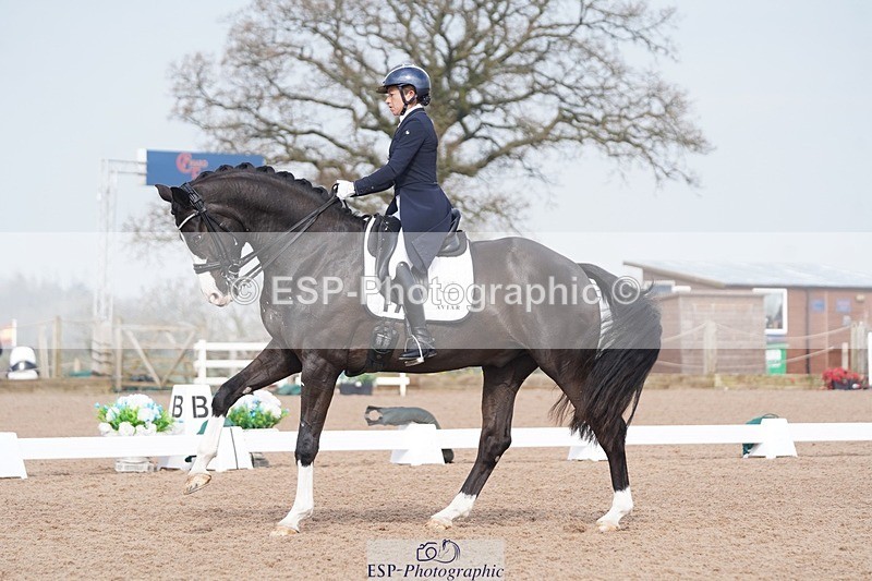 250404-104200-04368 - 016-Sarah.Millis-Le.Zorro.BH