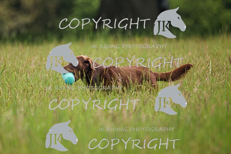 2R6A7853 - 9 Antony