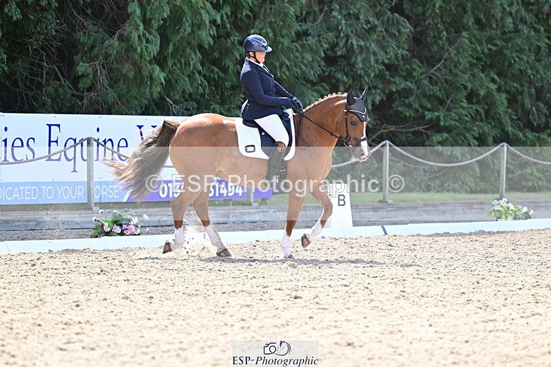 260731A-111641-00291 - Elementary Bronze 10.30 - Break