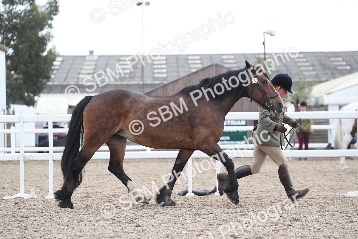 SBM_22535 - Class 604 - 2025 Area - IH Diamond