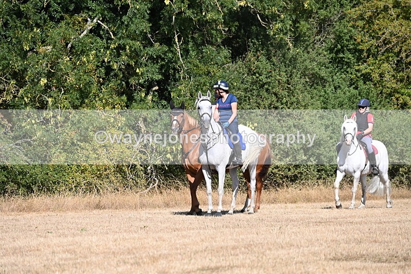 WJ6_7185 - Time 10:11 to 10:14