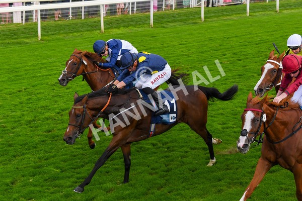 240823-Race 5-Sea Theme-0693 - Race 5 4.10pm British EBF & Sir Henry Cecil Galtres Stakes