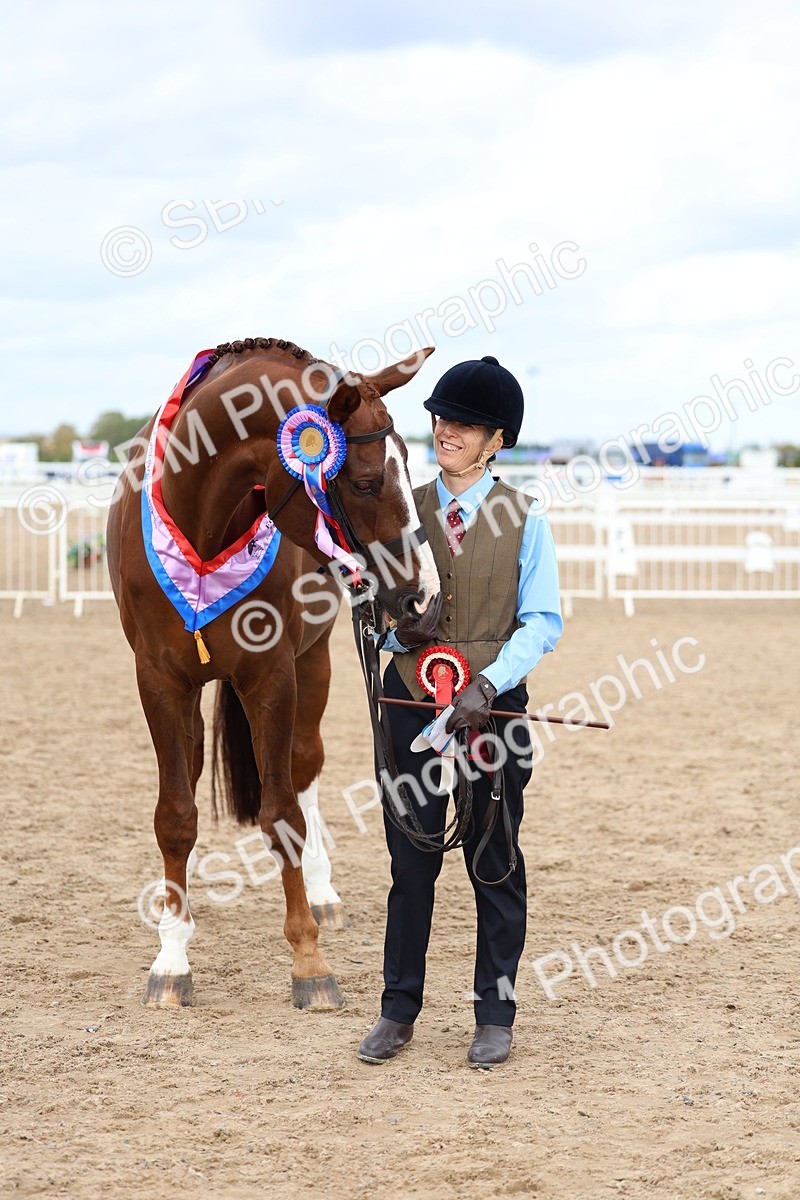 SBM_03989 - Class 25 - IH Foreign Breeds - Pure Bred
