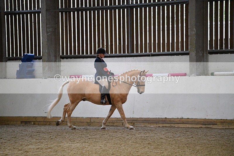 WJ5_6456 - Class 9 Ridden Veteran