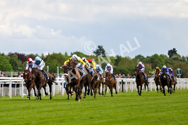 yr11052022r6-13 - Race 6 4.45pm Conundrum HR Consulting Stakes