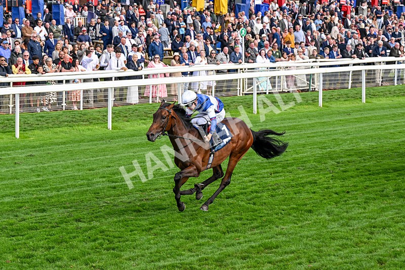 210826-Race 6-Benjamin Hornigold-0384 - Race 6 16.45pm British Stallion Studs EBF Convivial Maiden Stakes