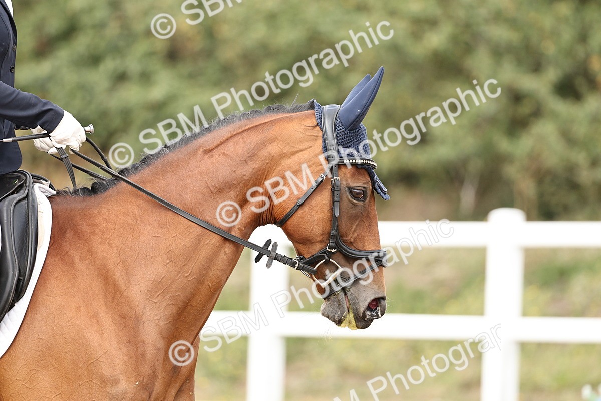 SBM_013210 - Class 3 - Novice 4 - 11.43-12.25