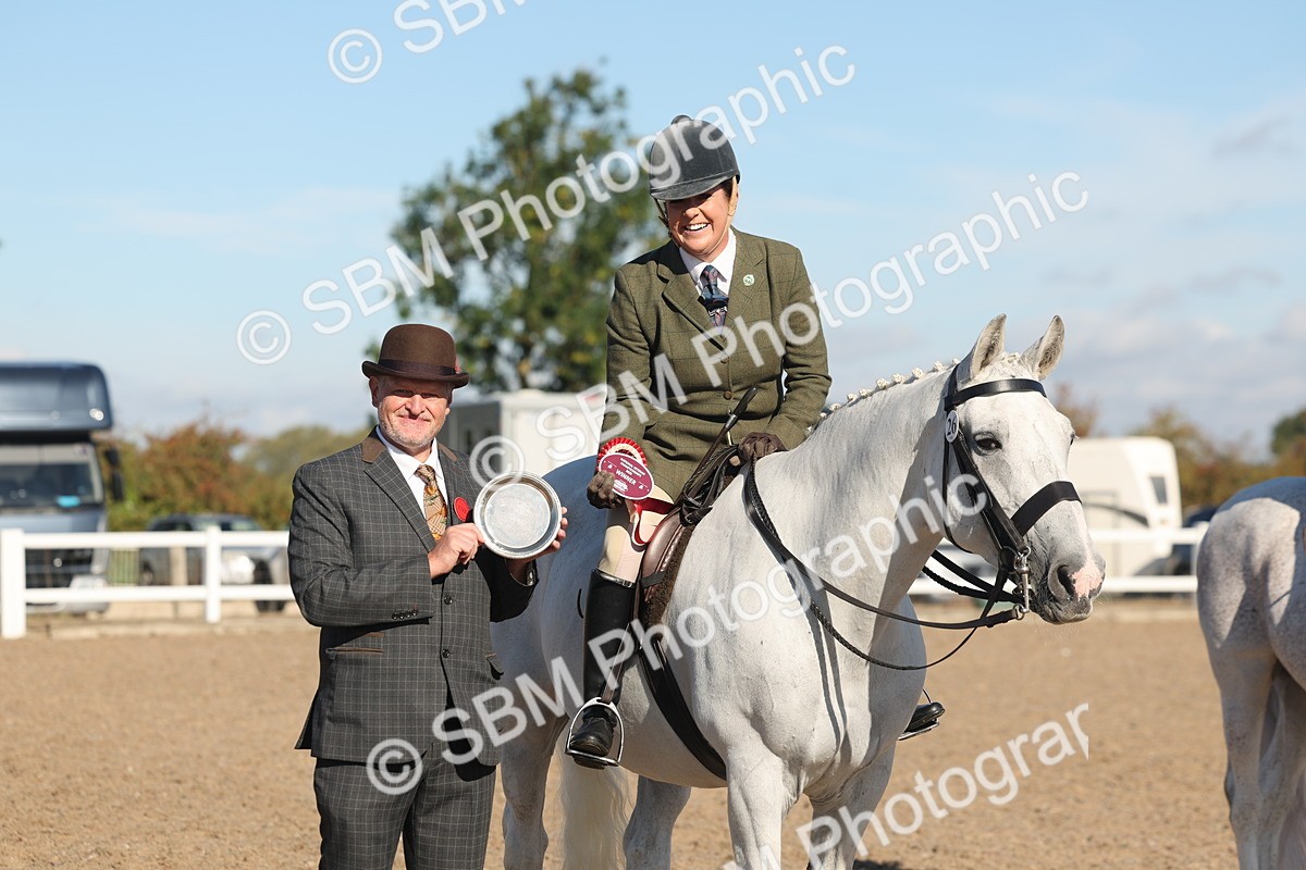 SBM_12233 - Class 303 - Ridden Pure Bred Horse Pony