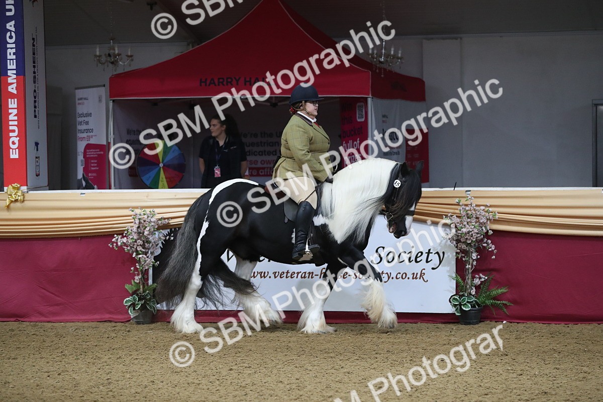 SBM_10315 - Class 102 Equitation (best rider) Adult